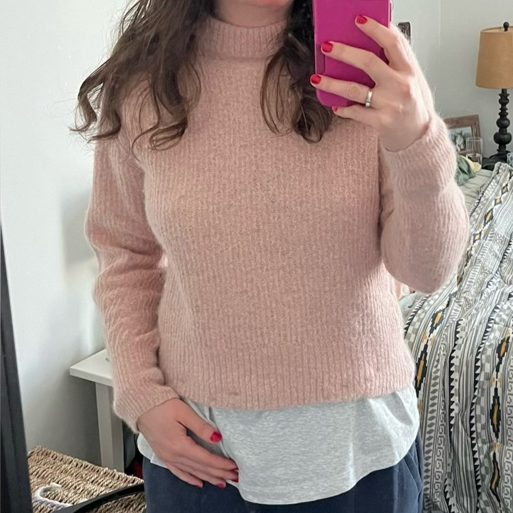 Everlane Women's Pink Cocoon Crew Neck Sweater